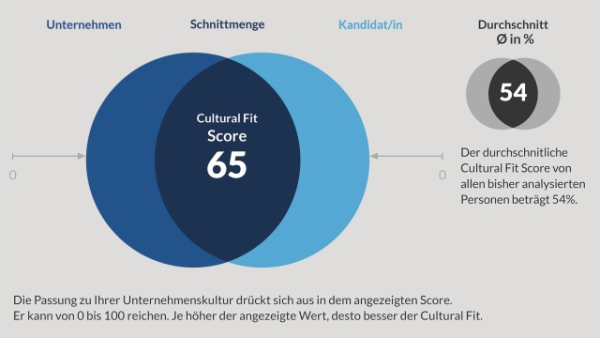 chart_cultural_fit_cfe_reportauszug_schnittmenge_pm