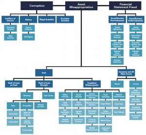 The Fraud Matrix: Corruption, Asset Misappropriation and Financial ...